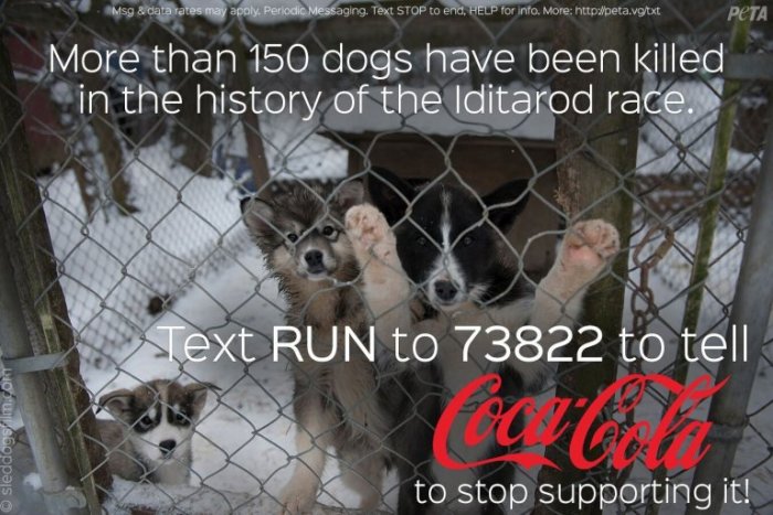 Iditarod-Text-In-PETA-768x513.jpg